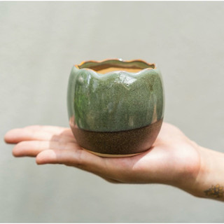 Chậu mini trứng gà sen đá gốm bát tràng