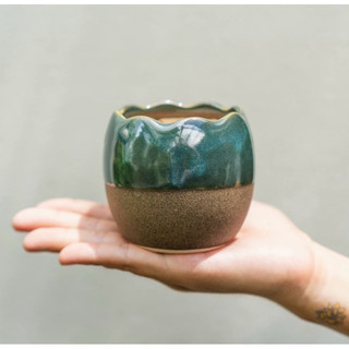 Chậu mini trứng gà sen đá gốm bát tràng