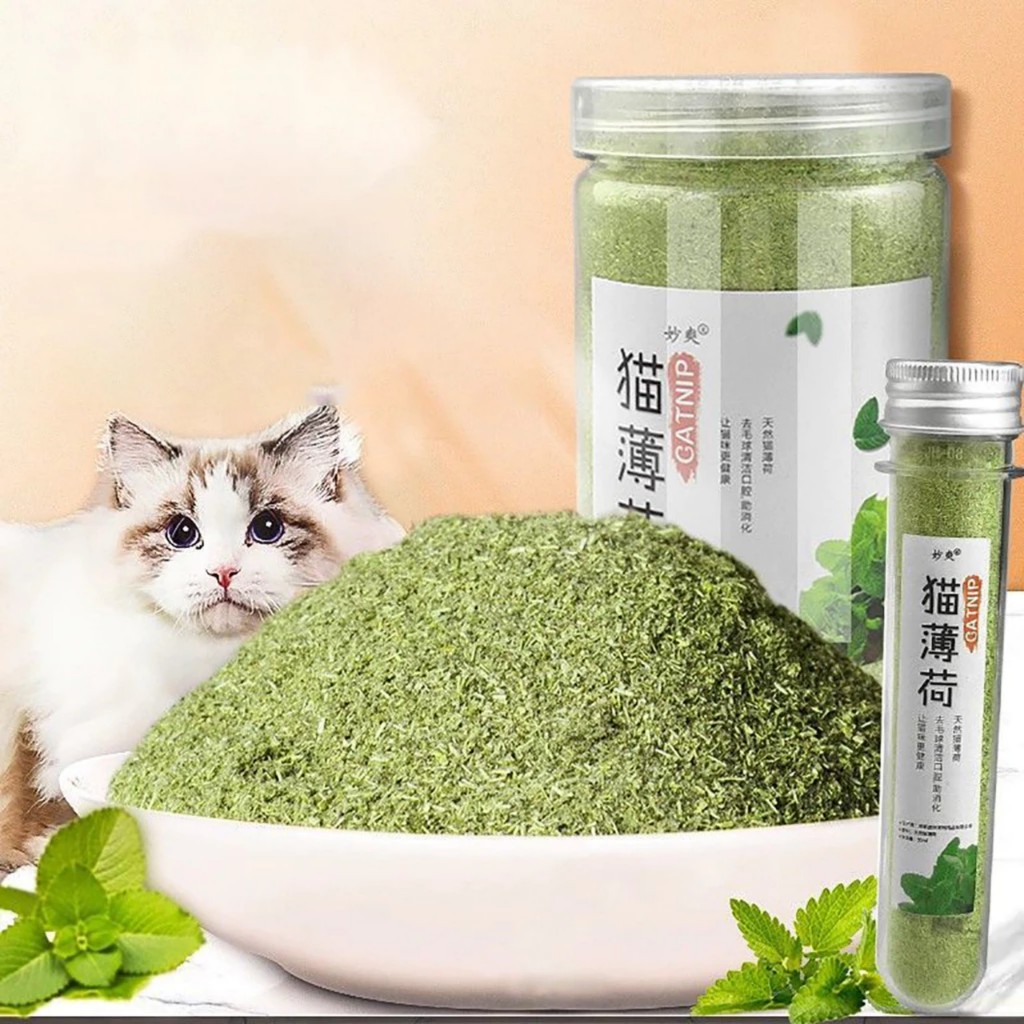 Cỏ Mèo bạc hà Catnip cỏ thơm cho mèo 50ml