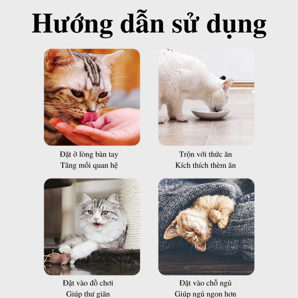 Cỏ Mèo bạc hà Catnip cỏ thơm cho mèo 50ml