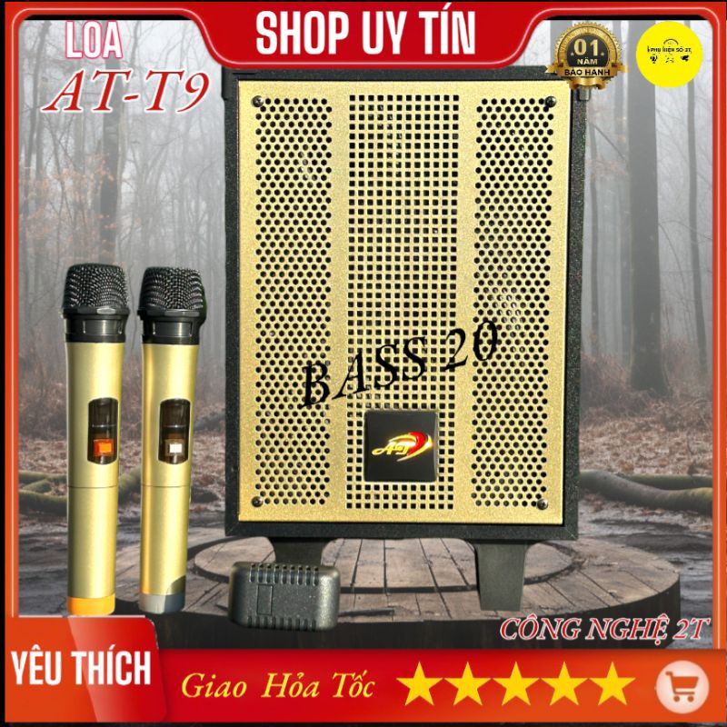 Loa Karaoke Di Động AT T9, Bass 20, Tặng 2 Micro