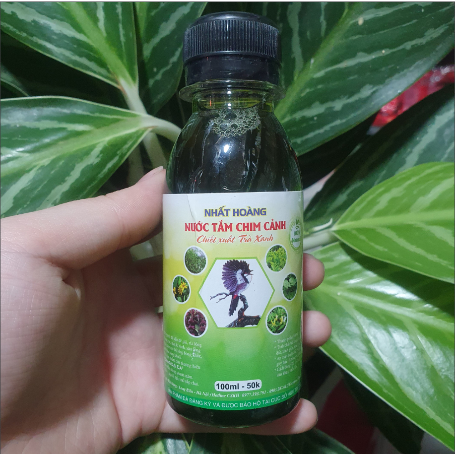 Nước tắm chiết suất trà xanh cho chim cảnh Nhất Hoàng - 100ml