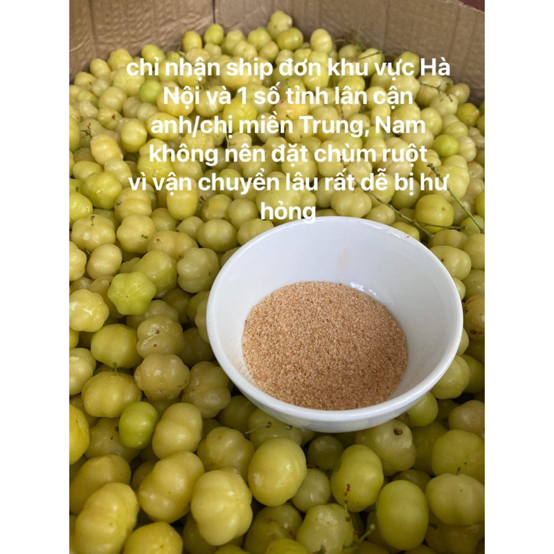 QUẢ TẦM RUỘT CHÙM RUỘT TƯƠI 500G CHUA CHUA XÓC MUỐI ỚT, MỨT, NGÂM RƯỢU, NẤU CANH