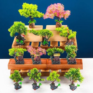 Cây giả trang trí món ăn/Đồ decor sashimi/Cây tùng giả