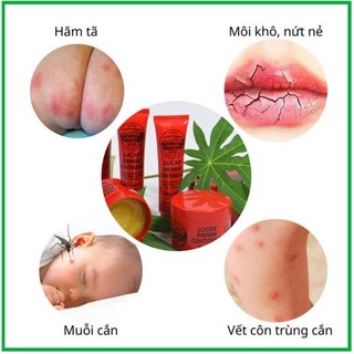 Kem đa năng Lucas Papaw