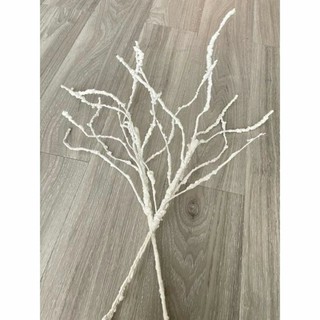 Cành tuyết dẻo trang trí hoa tươi . hoa khô