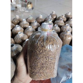 Neo nấm rơm