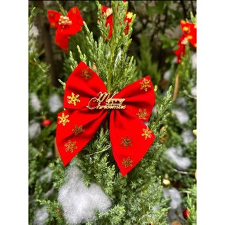 Cây Sơn Tùng trang trí Noel