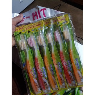 Combo 2 bàn chải đánh răng HIT