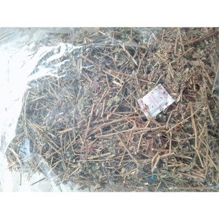 1KG Cây Cà Gai Leo Sấy Khô