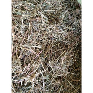1kg cây xoan leo sấy khô hữu cơ