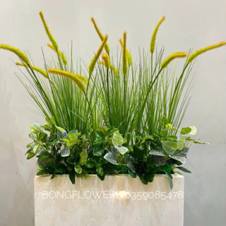  Hoa cỏ lau giả - bông lau giả cao 80cm decor siêu xinh 