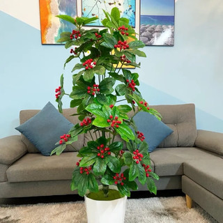 Cây kim ngân lượng giả cao 120cm gồm 36 tàu lá kèm chậu như hình