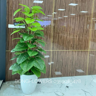 Cây trầu bà giả cao 160cm 63 lá chưa kèm chậu