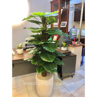 Cây trầu bà giả cao 1m6 gồm 63 lá chưa chậu - HÀNG ĐẸP LOẠI 1