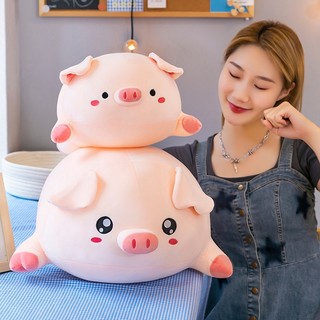 Gấu bông Thú bông - Heo hồng ú