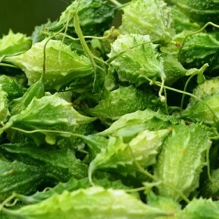 10 Hạt giống khổ qua rừng