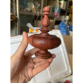 nậm cẩm mào