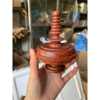 Nậm cẩm mào