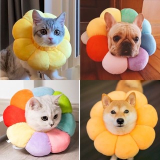  Vòng chống liếm hình hoa Lna cho chó mèo bông mềm mịn nhiều màu cao cấp