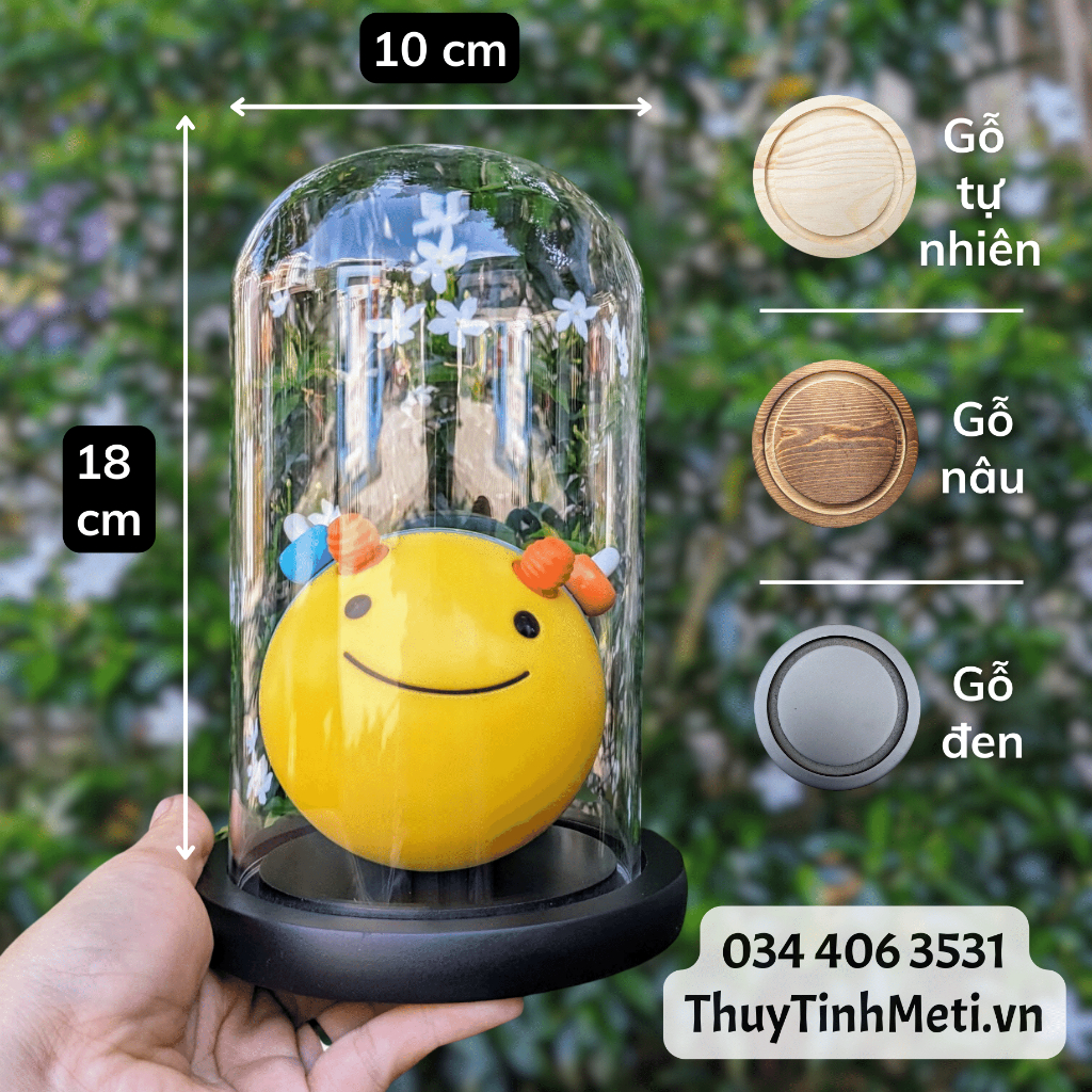Chụp thủy tinh đế gỗ 10x18, kích thước tùy chỉnh theo yêu cầu