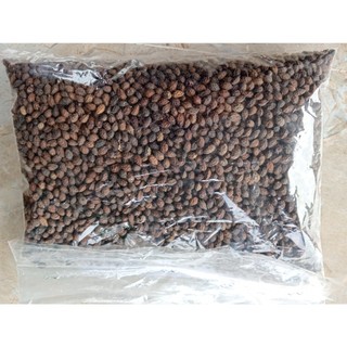 100g hạt đu đủ chín sấy khô