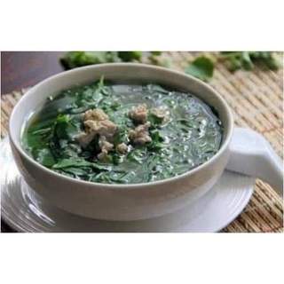CÂY RAU  SẮNG ( rau ngót rừng )