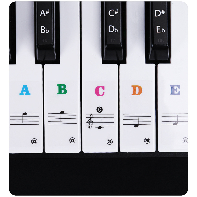 Sticker, Decal nốt nhạc - Bora ISD2 - Dán và đánh dấu vị trí nốt trên phím đàn Piano, Organ (37, 49, 54, 61, 88 phím)