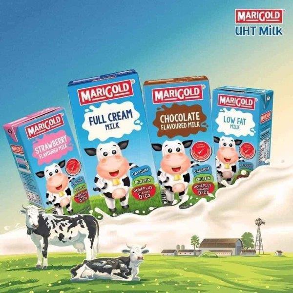Sữa Marigold nguyên kem dâu socola lúa mạch thùng 24 hộp 200ml sữa cho bé phát triển chiều cao cân nặng tốt Singapore