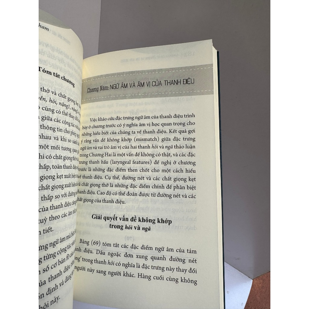 Sách - Thanh Điệu Tiếng Việt: Một phân tích mới – Andrea Hoa Pham – Khai tâm - NXB Dân Trí