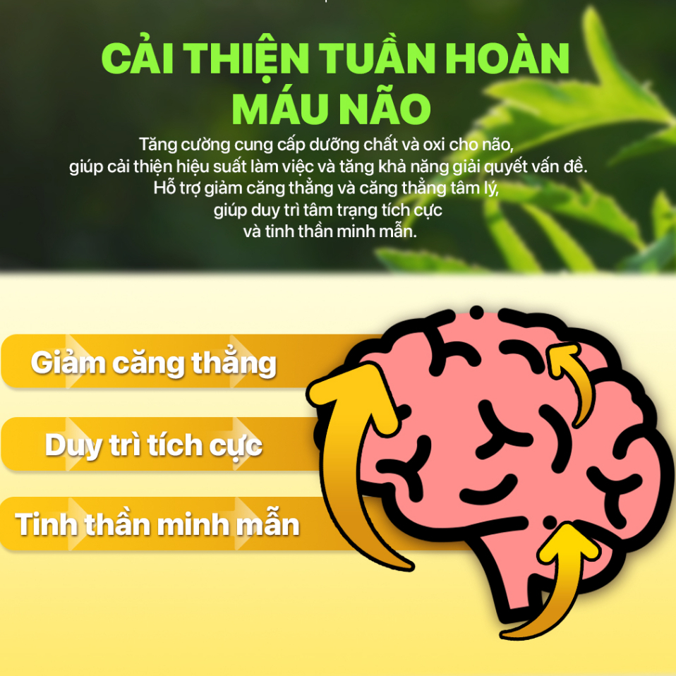 LADO CARE HOẠT HUYẾT DƯỠNG NÃO