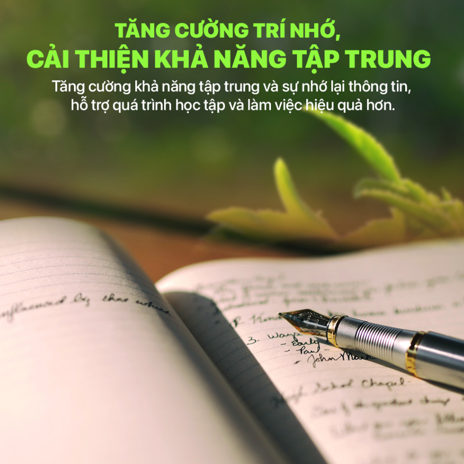 LADO CARE HOẠT HUYẾT DƯỠNG NÃO