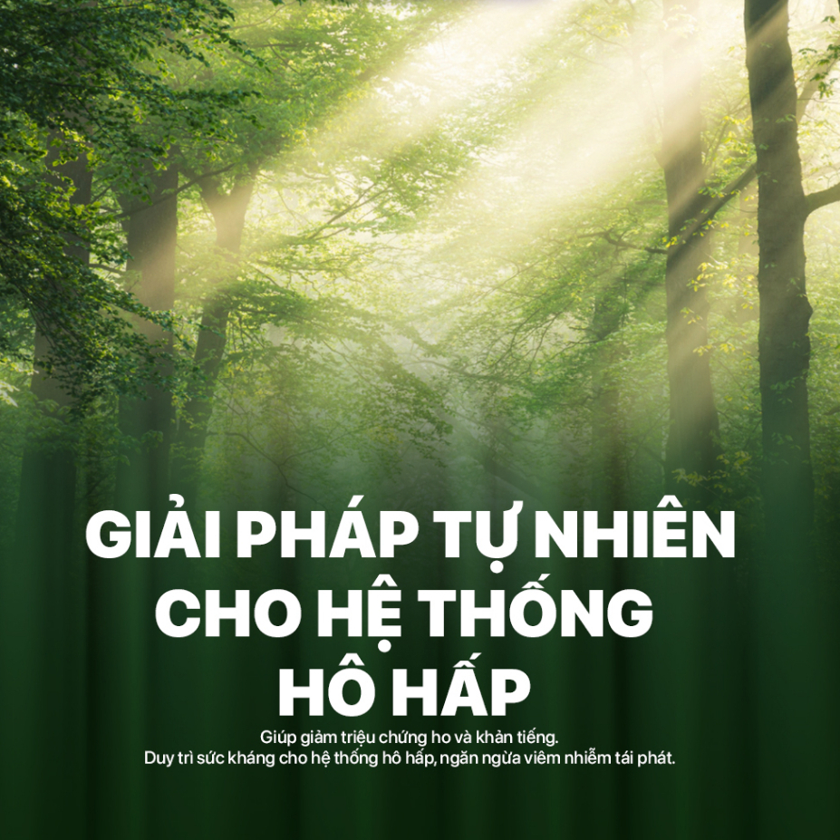 Viên xông hương tràm tinh dầu Ladophar hộp 20 viên