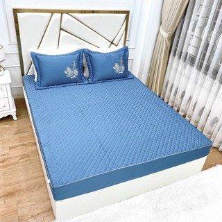 Bộ Ga Gối Bo chun Phi Lụa Cao Cấp<có vỏ gối ôm>
