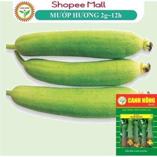 Hạt Giống Mướp Hương Siêu Trái, Thơm, Ngon, Ngọt, Cứng Trái Trồng Quanh Năm - Hạt Giống CANH NÔNG