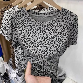Áo Beo cộc tay