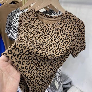 Áo Beo cộc tay