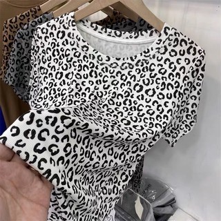 Áo Beo cộc tay