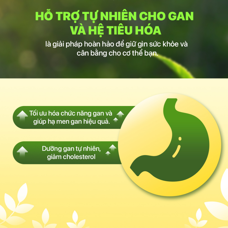 Lado care actisô extra ladopharma