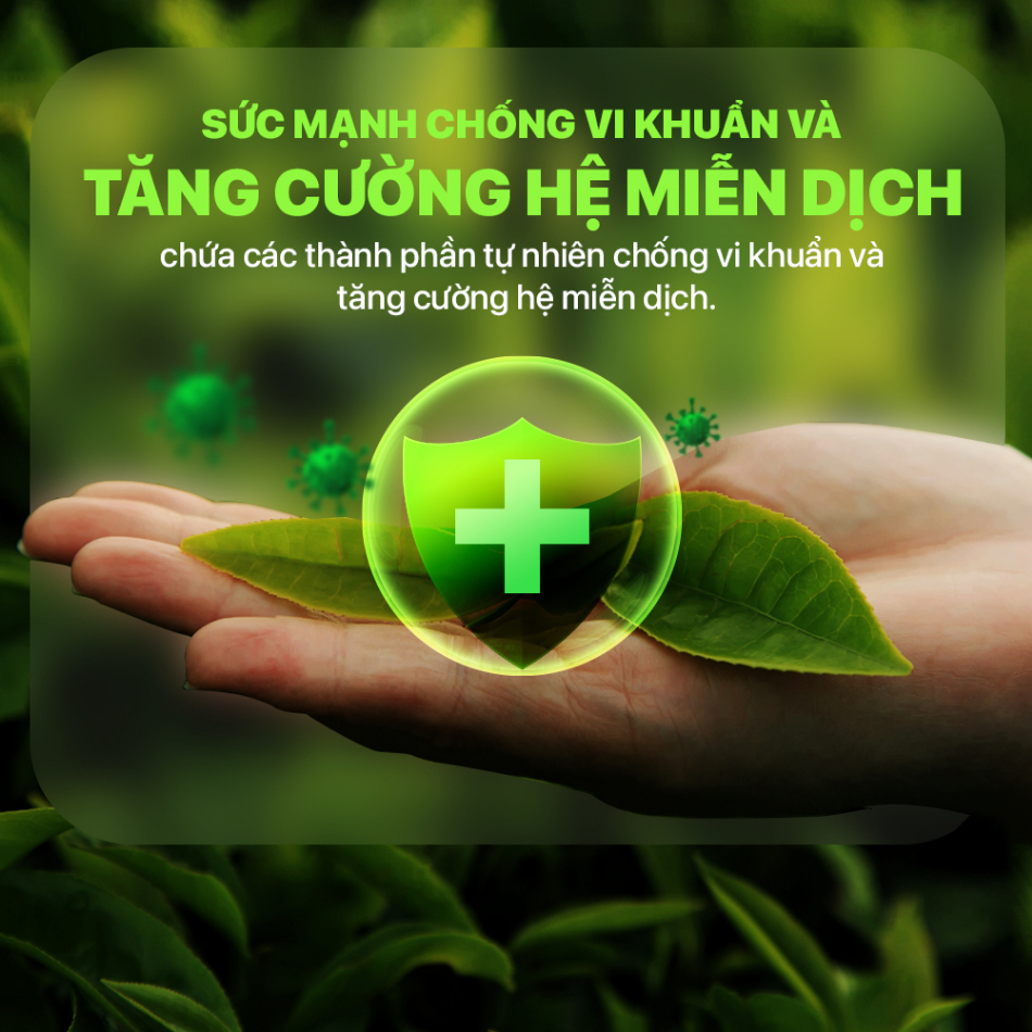 1 túi Trà Gừng Sả Lado Tea Ladophar Hộp 20 Túi Lọc - giúp giữ ấm cơ thể