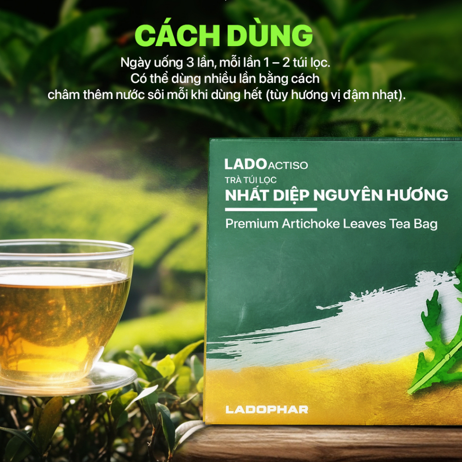 Trà túi lọc Nhất diệp nguyên hương LADOPHAR trà thảo mộc túi lọc thanh nhiệt lợi tiểu mát gan