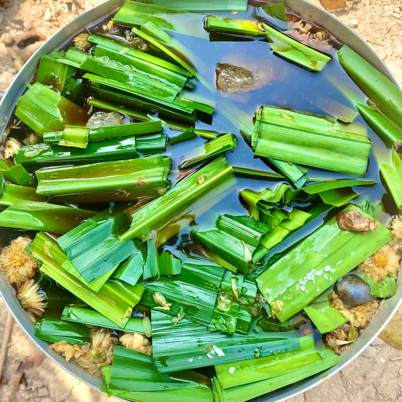 Set Sâm Lục Vị NTFOOD Nấu 10 Lít Nước