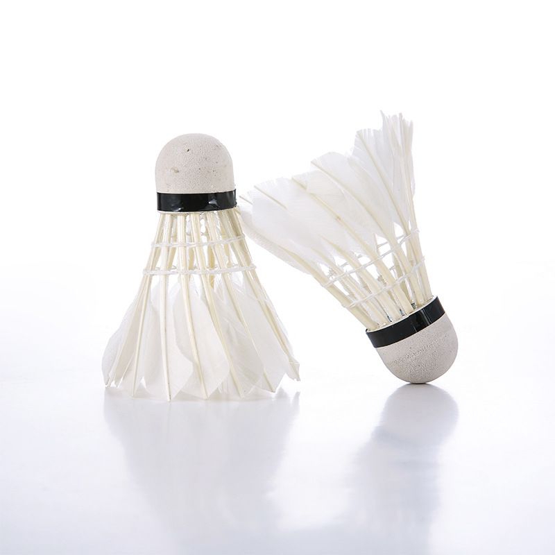 Ống 12 quả cầu lông vũ amusi no.588