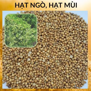 Hạt ngò , hạt khô, túi 100g hạt ngò ta