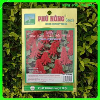 Hạt Giống Hoa Xác Pháo Đỏ PN-10 Phú Nông- Gói 100mg - Salvia Splendens