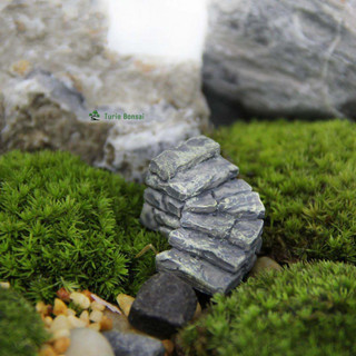 Cầu thang trang trí tiểu cảnh terrarium