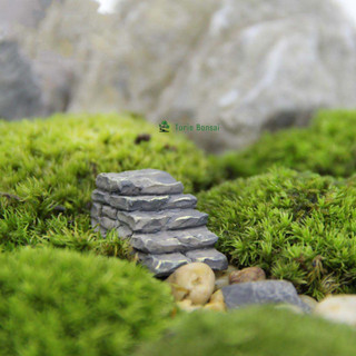 Cầu thang trang trí tiểu cảnh terrarium