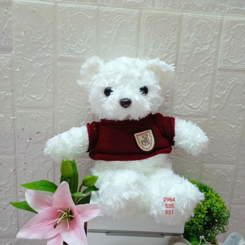 💖 Gấu tedy áo len 30cm💖