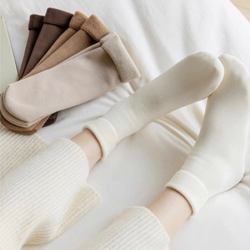 Set 5 Đôi Tất Vớ Cotton Lót Lông Nỉ Giữ Nhiệt Cao Cổ Siêu Ấm Màu Pastel Cho Nữ Tn11.