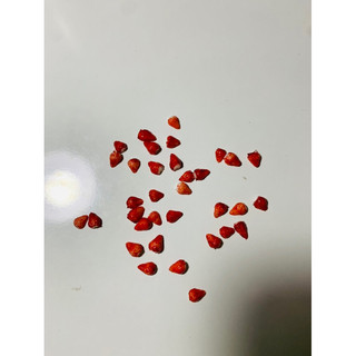 Nửa trái dâu tây đỏ